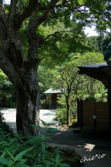 鎌倉-639
