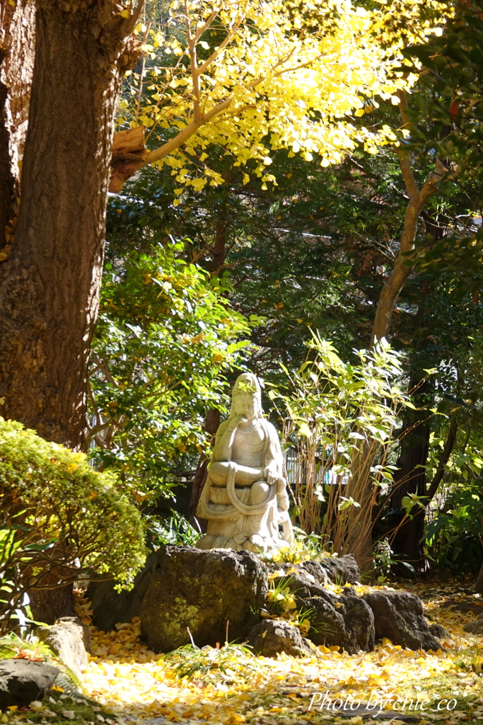 報国寺-003