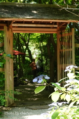 鎌倉-266