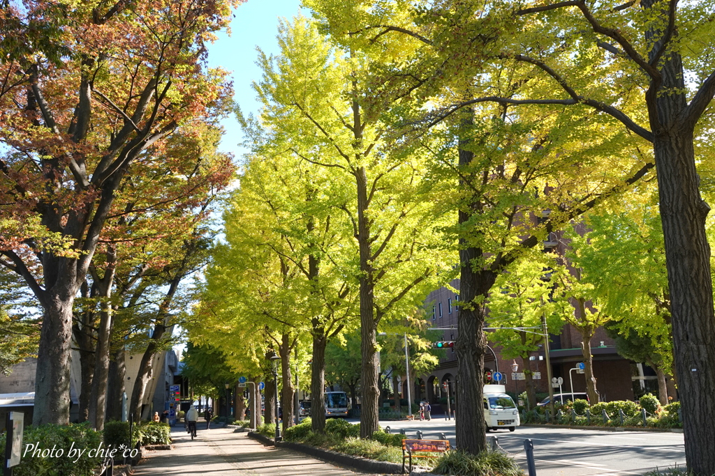 山下公園-120