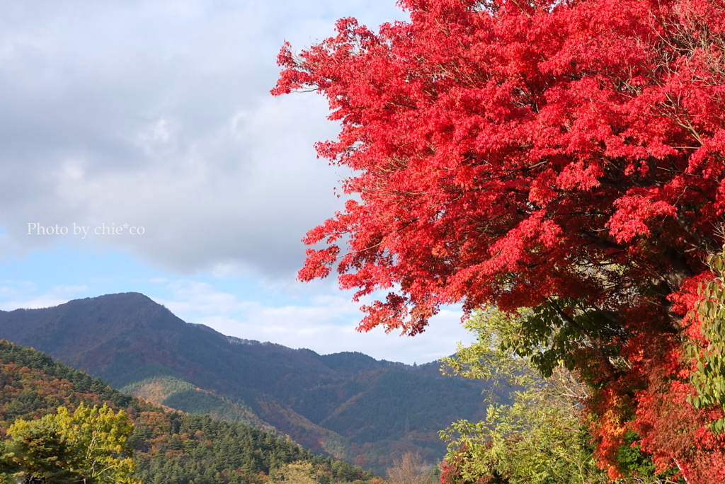 紅葉の河口湖畔-013