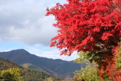 紅葉の河口湖畔-013