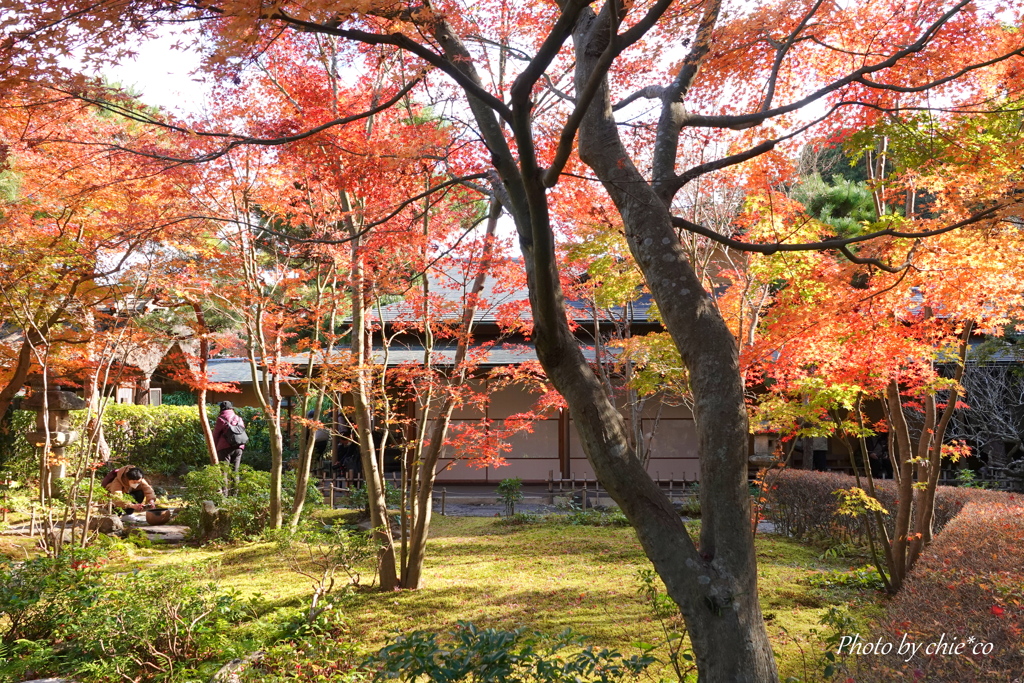 一条恵観山荘-107