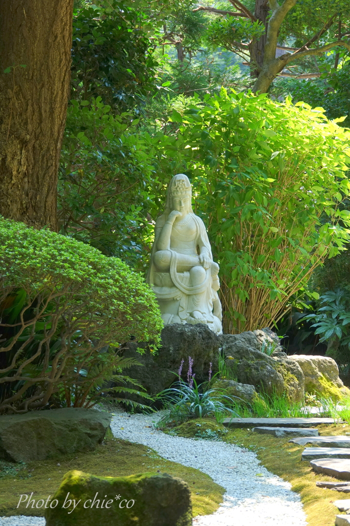 鎌倉-232