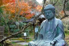 北鎌倉-333