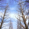yamate-178