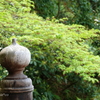 鎌倉～桜の季節-272