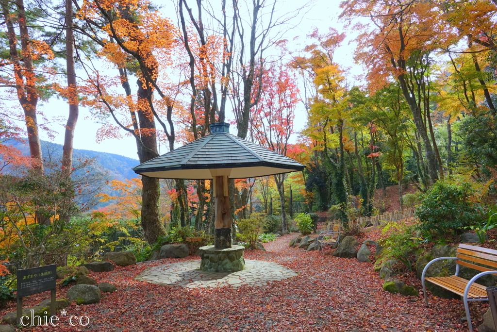 岡田美術館庭園-077