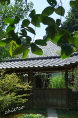 鎌倉-635