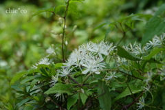 箱根-299