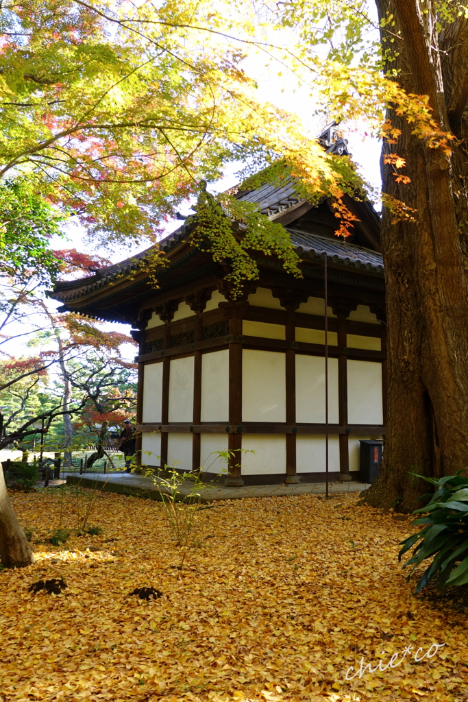 三渓園-198