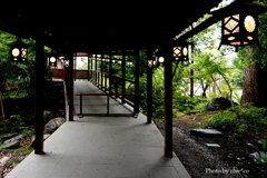 川越氷川神社-005