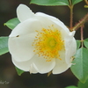 鎌倉-032