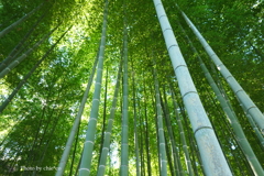 鎌倉-218