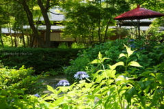 鎌倉-265