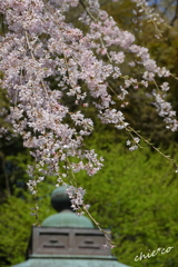 鎌倉-446