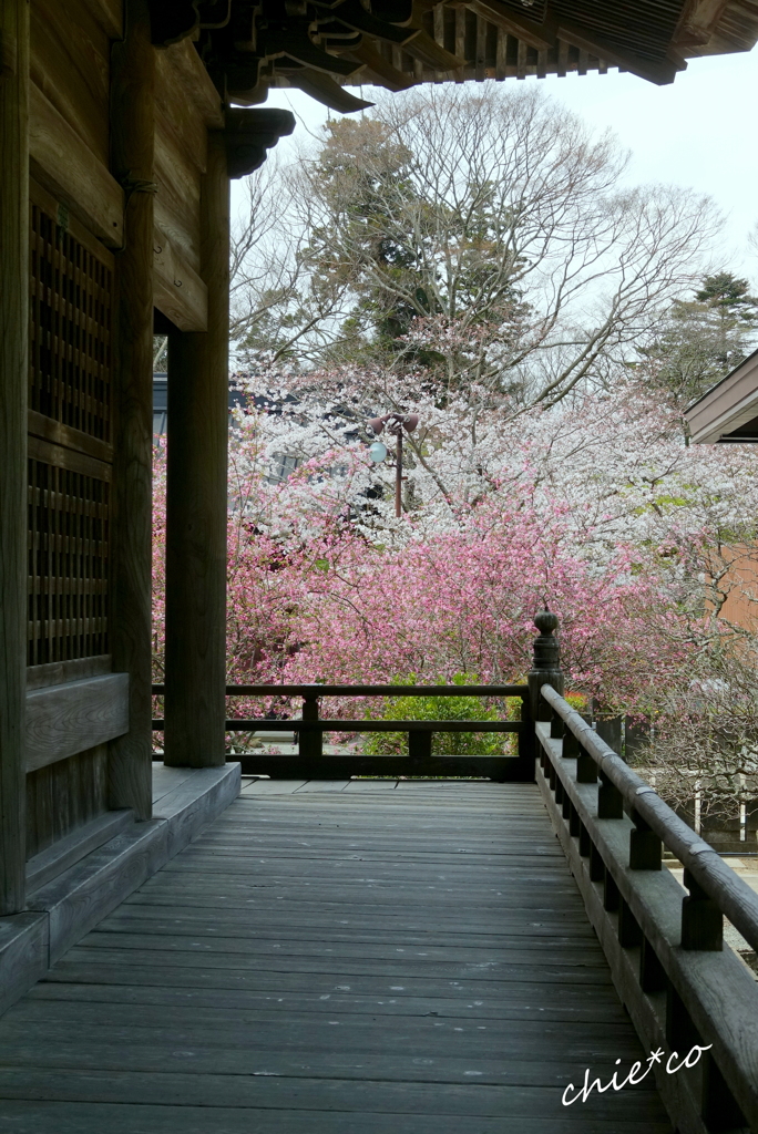 鎌倉-300