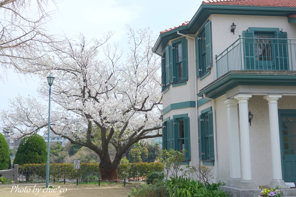 山手イタリア山庭園-104