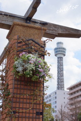山下公園で。。２