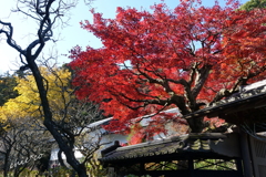 北鎌倉-334