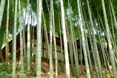 円覚寺-085