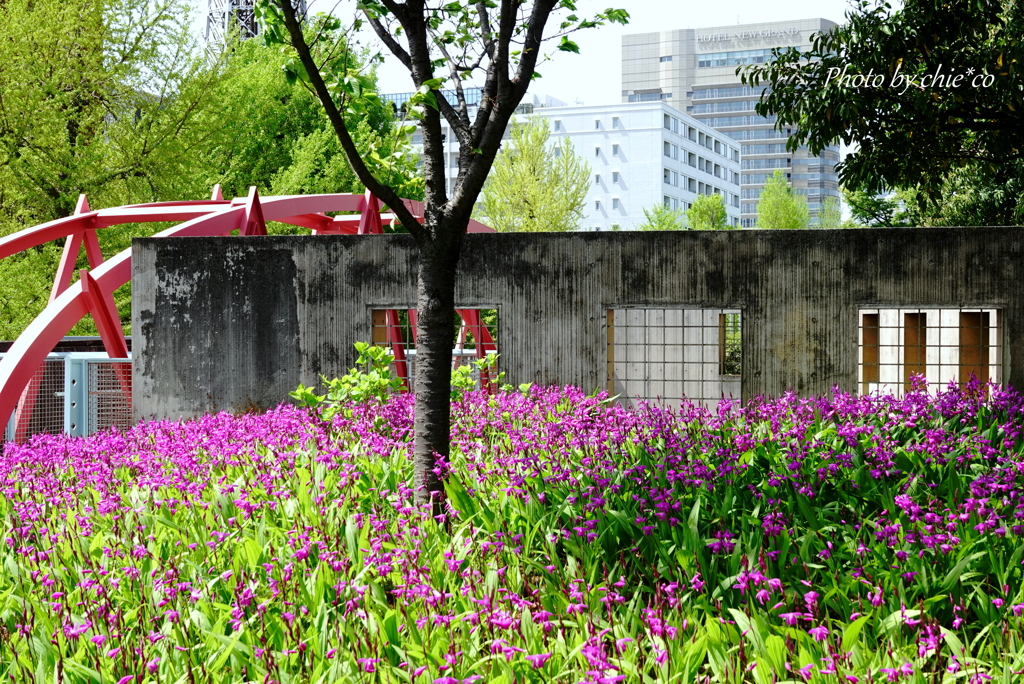 山下公園-154