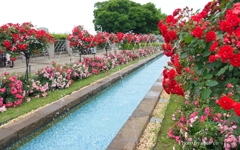 山手イタリア山庭園-109