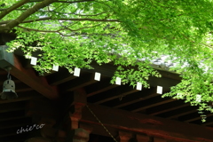 鎌倉-106