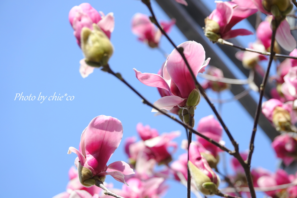 山下公園と・・-207