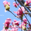 山下公園と・・-207