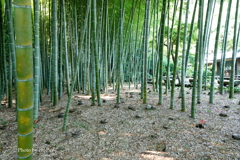 鎌倉-231
