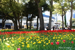 横浜公園-080