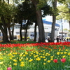 横浜公園-080