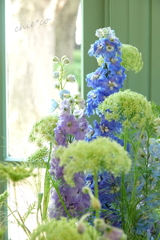 イタリア山庭園-193