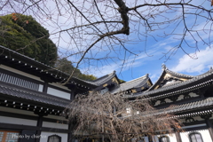 鎌倉長谷寺-073