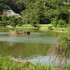 三渓園-336