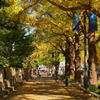 Yokohama-199
