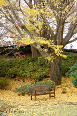 山手イタリア山庭園-229