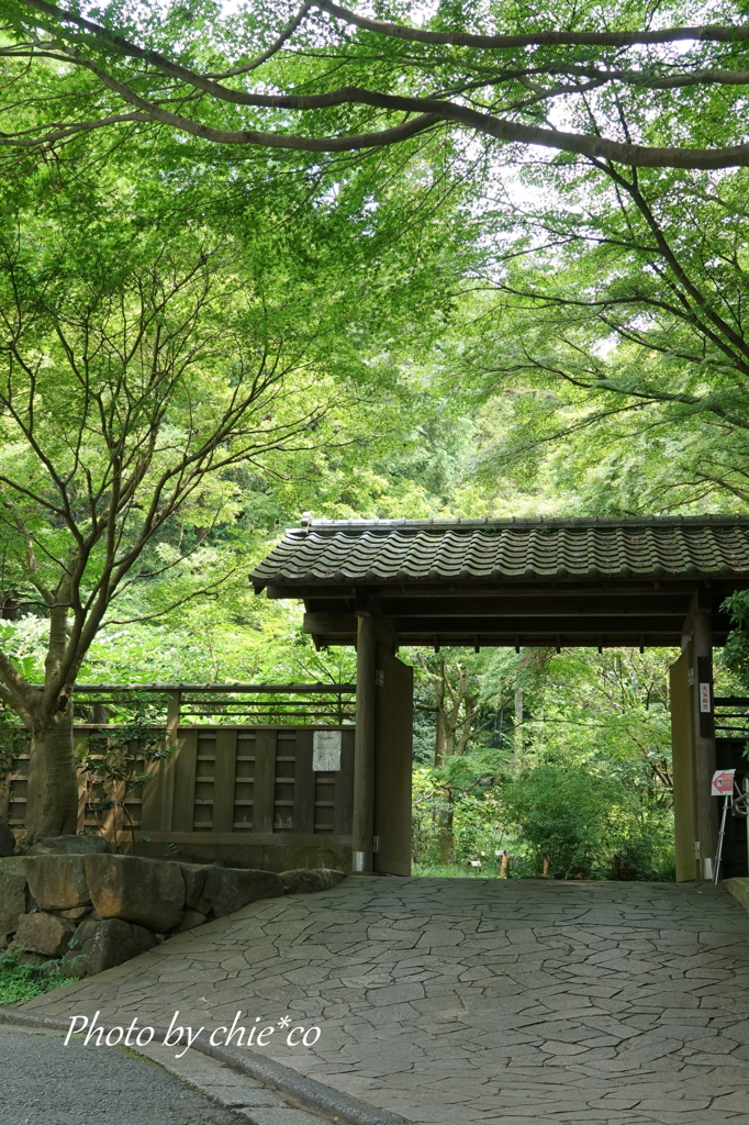 久良岐公園-096