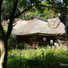 北鎌倉-233