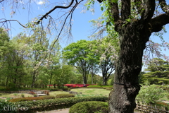 皇居-339