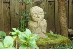鎌倉長谷寺-164