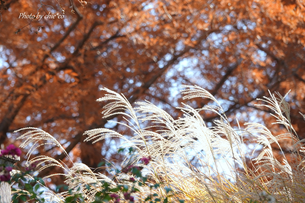 山手イタリア山庭園-166