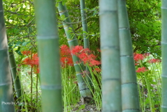 鎌倉-230