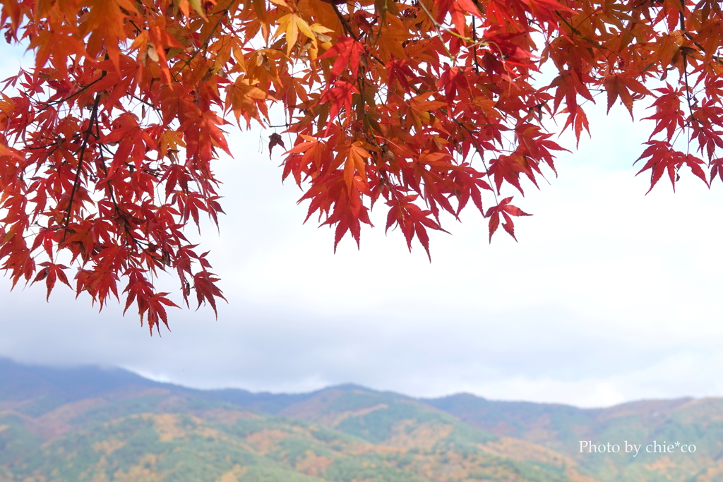 紅葉の河口湖畔-003