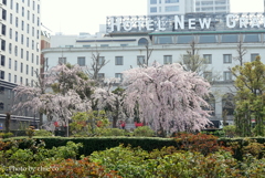 山下公園-144