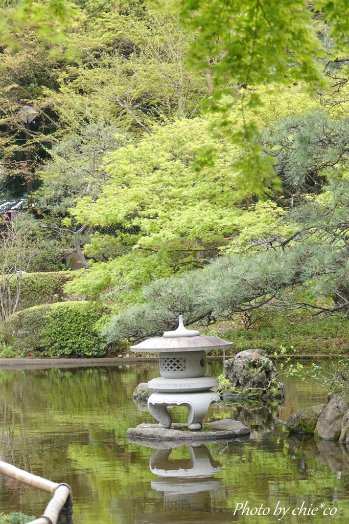 横浜公園-163