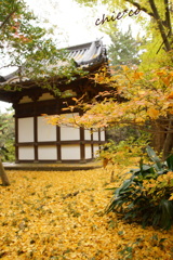 三渓園-306