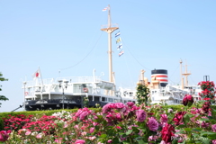 山下公園-096