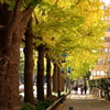 Yokohama-200
